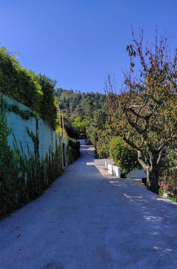 Pera Da Serra - Turismo No Espaco Rural Lousã Zewnętrze zdjęcie